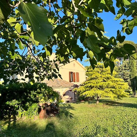 Bed and Breakfast Casale La Civetta Larino Esterno foto