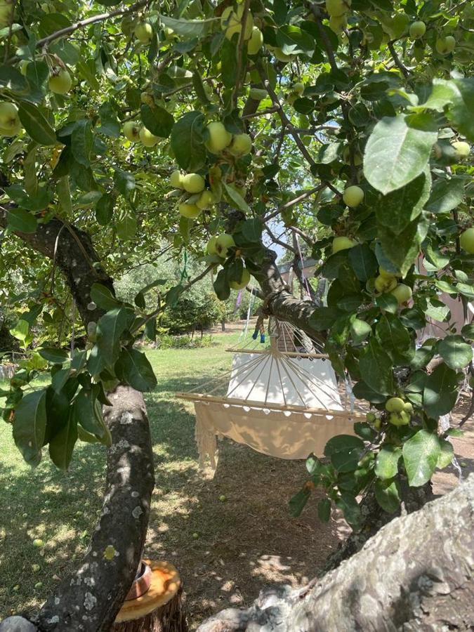Bed and Breakfast Casale La Civetta Larino Esterno foto
